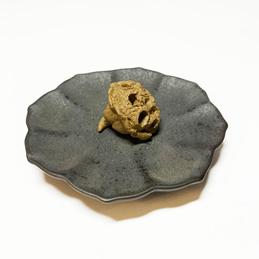 Lotus Seedpod Incense Holder with Plate